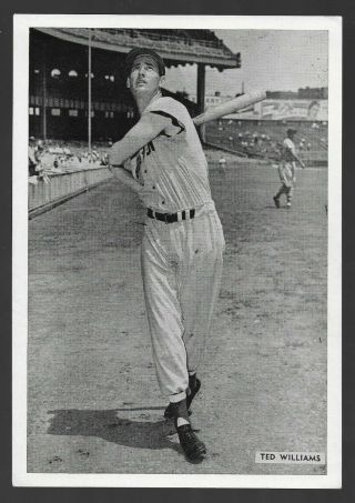 1954 All Star Photo Pack Ted Williams Boston Red Sox Legend Hof Baseball Card