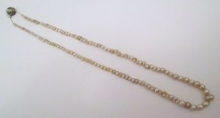 Antique Natural Pearl Strand / Mississippi River Pearls (?)