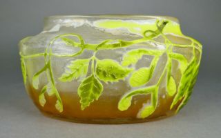Antique Art Nouveau Emile Galle Ash - Leaf Maple Nancy French Cameo Art Glass Vase