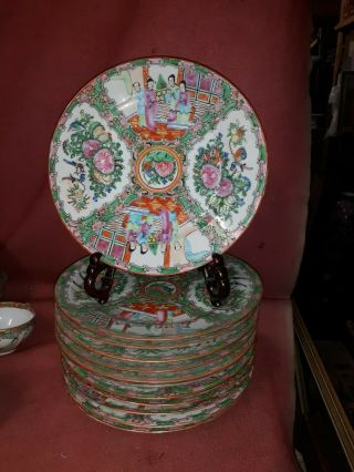 Set Of 12 Old Or Antique Chinese Rose Medallion Porcelain Dinner Plates