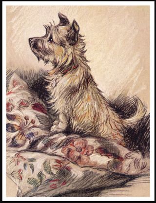 Cairn Terrier Cute Dog On A Pile Of Cushion Great Vintage Style Dog Print Poster
