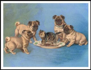 Pug Pups And Cat Lovely Vintage Image On Dog Art Print Poster