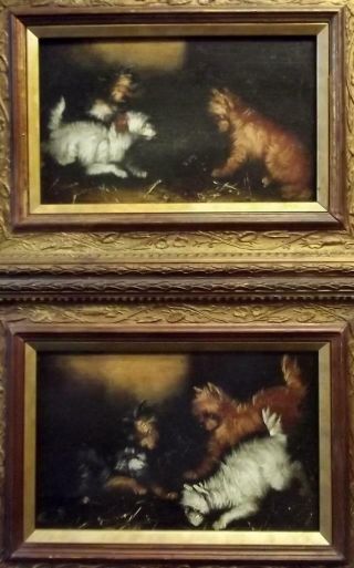 Good Pair British Antique Oil Paintings Terrier Dogs In A Barn George Armfield