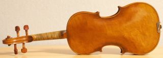 Very Old Labelled Vintage Small Violin " Gajetanus Sgarabotto " Fiddle Geige 1096