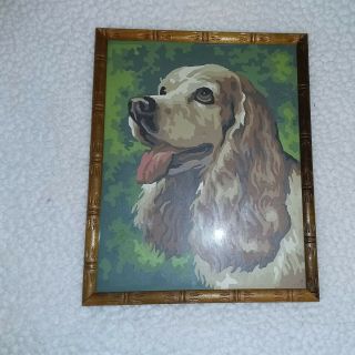 Vintage Cocker Spaniel Mid Century Modern Paint By Numbers Painting 12x9