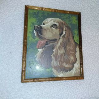 Vintage Cocker Spaniel Mid Century Modern Paint By Numbers Painting 12x9 2