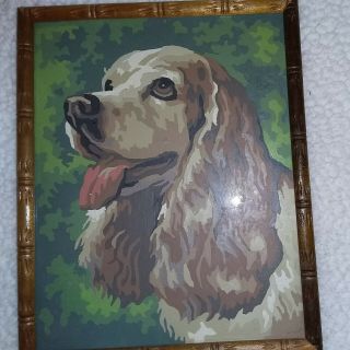 Vintage Cocker Spaniel Mid Century Modern Paint By Numbers Painting 12x9 3