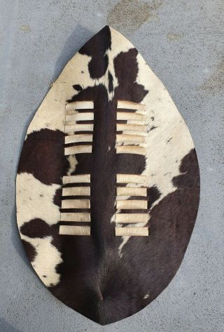 Matabele Antique African Zebra Shield from Zimbabwe 3