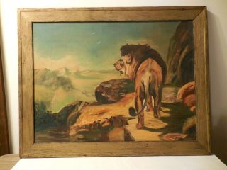 Majestic Lion - Antique Early 1900s Primitive Oil Painting On Board Unsigned
