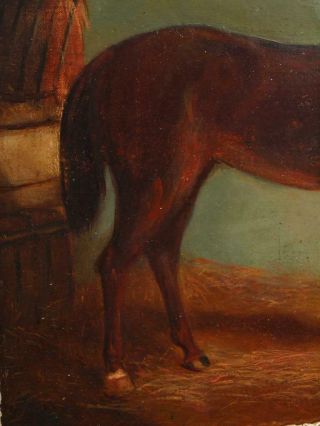 19th CENTURY CHESTNUT BAY HORSE IN STABLE PORTRAIT Antique Oil Painting 5