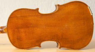 Very Old Labelled Vintage Violin " Carlo Giuseppe Testore " 小提琴 ヴァイオリンgeige 1273