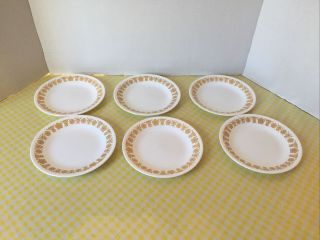 Set Of 6 Vintage Corelle Corning " Butterfly Gold " Bread & Butter Plates Retro
