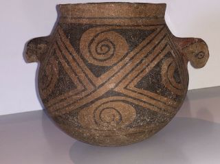 Epic Casas Grandes " Parrot Pot " Circa 1200 Ad Fresh To The Market - Uncleaned
