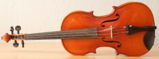 Very Old Labelled Vintage Violin " Gaetano Gadda " Fiddle 小提琴 ヴァイオリン Geige 1357
