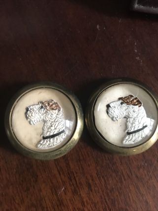 2 Vintage / Antique Scottie Dog Brass Glass Hooked Buttons