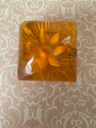 Vintage Reverse Carved Apple Juice Bakelite Flower Sunburst Button 2 Shanks
