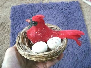 Vintage Christmas Decoration: Feathered Red Cardinal Bird And Eggs In Real Nest