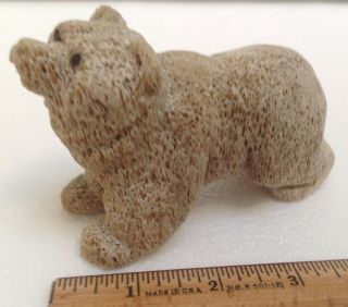 Rare Unusual 4 " Vtg Antique Fossilized Carving Of Polar Or Grizzley Bear