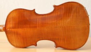 Very Old Labelled Vintage Violin " Wilhelm Döring " Fiddle 小提琴 ヴァイオリン Geige 1190