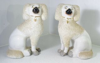 A Antique 19th Century Large Staffordshire Poodles Confetti Dogs
