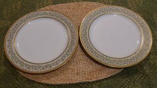 Vtg C.  H.  Field Haviland Limoges Gda France Dinner Plates - Set Of Two - Rh Stearns