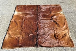 Antique Horse Hide Heavy Lined Buggy Sleigh Blanket