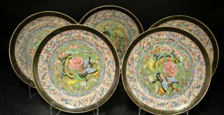 Set Of Five Chinese Export Butterflies Dishes,  19th Century