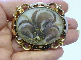 Antique Victorian 10k Gold Mourning Hair Pearl Brooch Pin Prince Of Wales Royal
