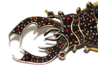 Antique Victorian Bohemian Garnet STAG BEETLE Brooch Figural Bug Insect tlc 2