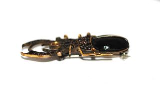 Antique Victorian Bohemian Garnet STAG BEETLE Brooch Figural Bug Insect tlc 3