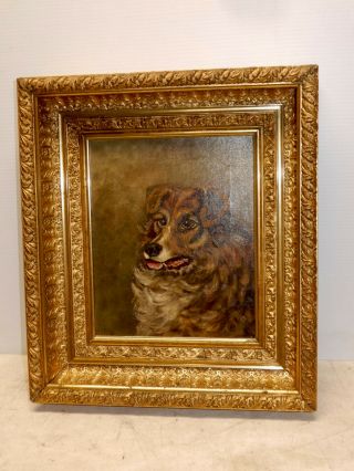 Antique Oil On Canvas Of A Dog In Exceptional Gilt Frame Circa 1880