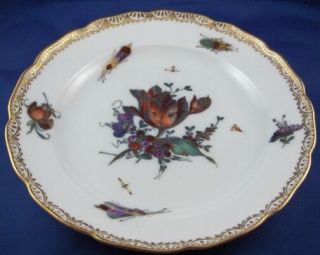 Antique 18thc Meissen Porcelain Interesting Floral & Bugs Plate Porzellan Teller