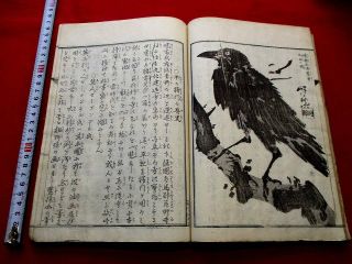 1 - 15 Kyosai Ge Japanese Ukiyoe Woodblock Print Book