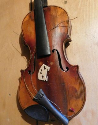 Old,  great,  violin,  violon,  geige,  cello,  viola,  with labell. 2