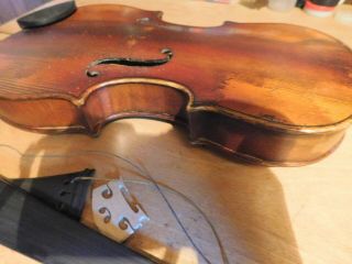 Old,  great,  violin,  violon,  geige,  cello,  viola,  with labell. 3