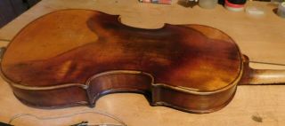 Old,  great,  violin,  violon,  geige,  cello,  viola,  with labell. 6