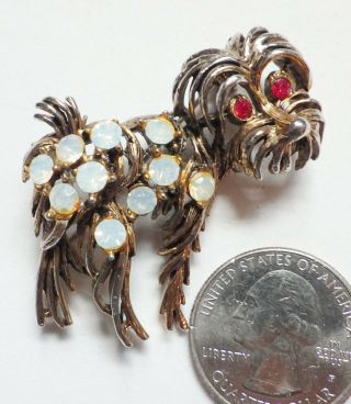 Vintage Shaggy Dog Pin/brooch,  Opal Glass & Red Rhinestones,  Goldtone 1 5/8 "