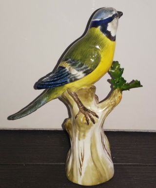 Antique Meissen Porcelain Bird Figure - 19th Century - Exquisite - 14.  3cm