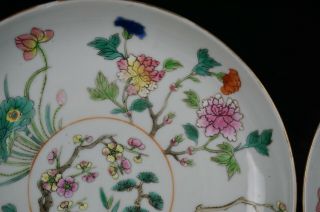 Pair Antique Chinese Famille Rose Porcelain Flower Plate DAOGUANG Mark c1820 - 50 2