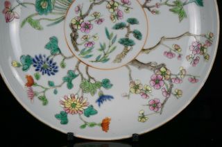 Pair Antique Chinese Famille Rose Porcelain Flower Plate DAOGUANG Mark c1820 - 50 4