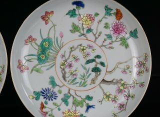 Pair Antique Chinese Famille Rose Porcelain Flower Plate DAOGUANG Mark c1820 - 50 6