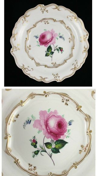 4 Lovely Antique Victorian Porcelain Plates Gilded Hand Painted Floral 2