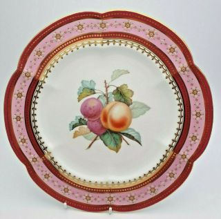 Fine Antique English Plate Fruit Design,  Gilding & Enamel C.  1820 
