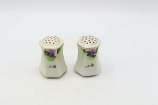 Vintage Nippon Hand Painted Salt And Pepper Shakers