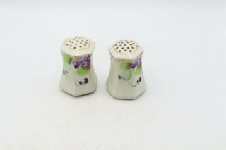 VINTAGE NIPPON HAND PAINTED SALT AND PEPPER SHAKERS 2