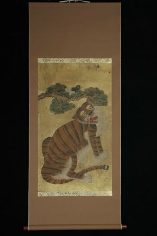 Nov237 Korean Joseon Tiger Bird Hanging Scroll Hand Painted Box Minga