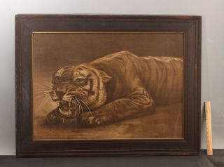 Large Antique Arts & Crafts Bengal Tiger Sepia Chromolithograph Oak Frame