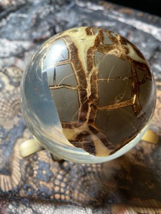 Macabre Antique Vintage Beatles On Crystal Geode Resin Globe With Brass Stand 6