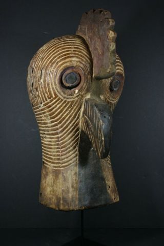 African Kifwebe Rooster Bird Beak Mask - Songye Tribe - D.  R Congo,  Tribal Art
