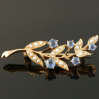 Antique c - 1900 Solid 14K Gold Blue Sapphire & Seed Pearl Floral Motif Pin Brooch 3